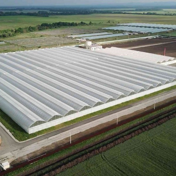 AGRO FINE - ADANA - TOPRAKLI MUZ SERASI