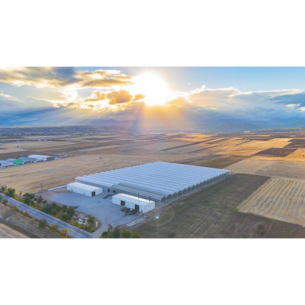 ANKON ENERJİ  - TOPRAKSIZ DOMATES SERASI