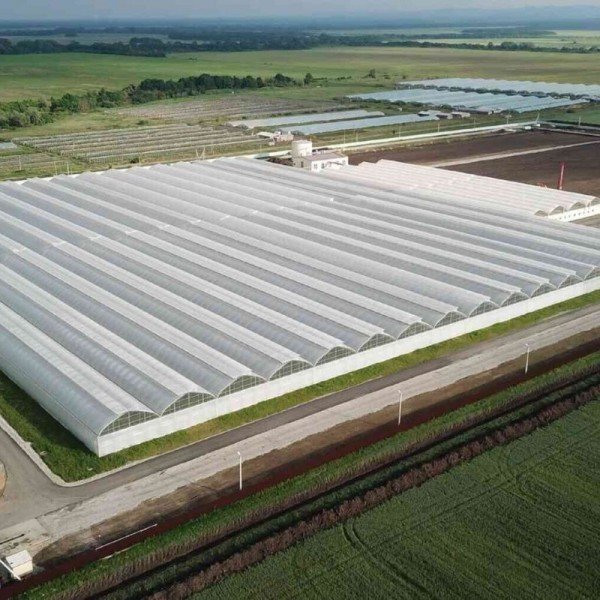 ARGO FİNE - ADANA - TOPRAKLI MUZ SERASI