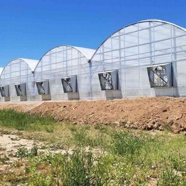 BATEM - ANTALYA - FİDELİK