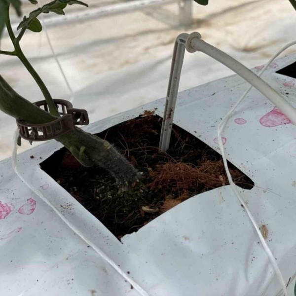 Damla Sulama Sistemi