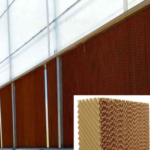 Greenpad (Evoporatif)