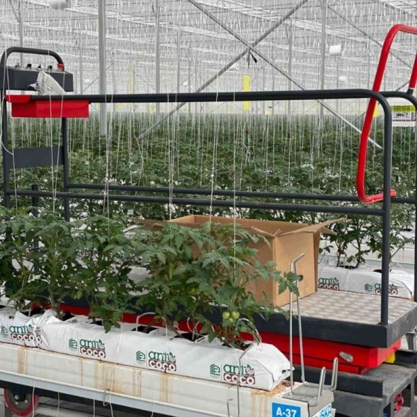 Hasat Ve Kültürel İşlem Arabaları