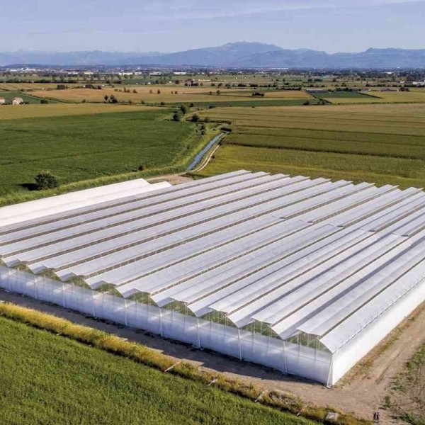 KONYA ŞEKER - KONYA - TOPRAKSIZ DOMATES SERASI