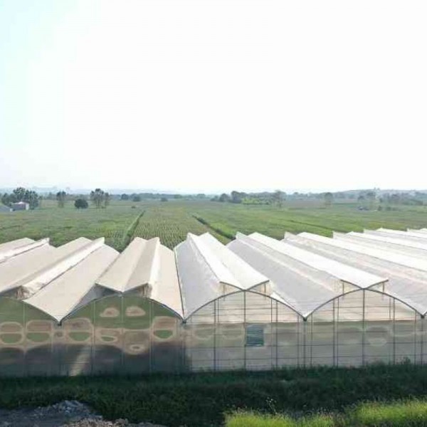 Modern Gotik Seralar