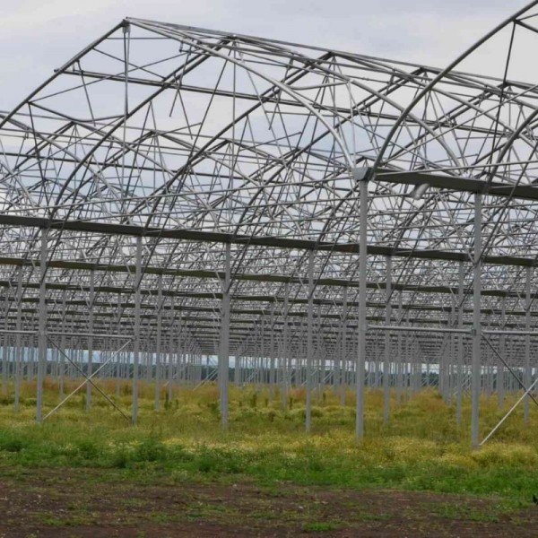 SİNAN KILIÇ - ADANA - MUZ SERASI