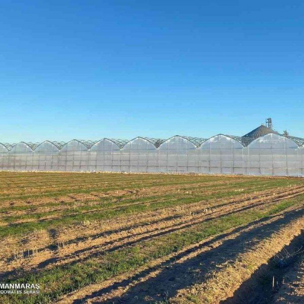 TKC SERA - Kahramanmaraş - TOPRAKSIZ DOMATES SERASI