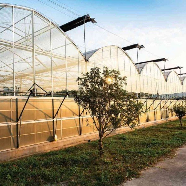 Vegacanada S.A. - Almeria - ARGE SERASI