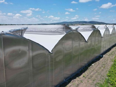 İska Sera ile Polikarbon Sera