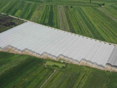 Modern Sera Sistemleri