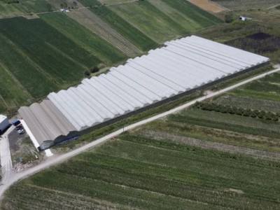 Sakarya'da 25 Dönümlük Sera