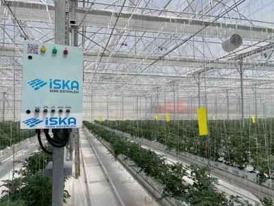 Sera Hibe Destekleri