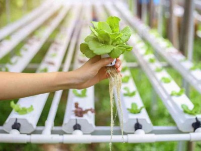 Serada Otomasyon Sistemleri