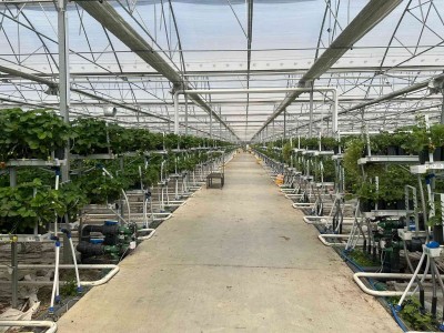 Topraksız Tarımda Yeni Nesil Çözümler