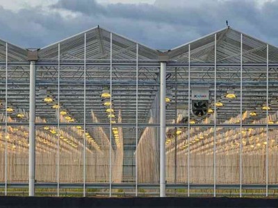 Türkiye’de Cam Sera Kullanımı