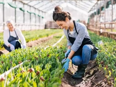 Ziraat Bankası Sera Kredisi