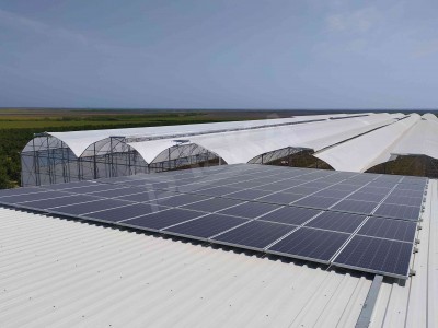 gotik-sera-gunes-enerji-paneli-1