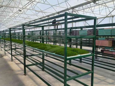 topraksiz-cimen-serasi-1