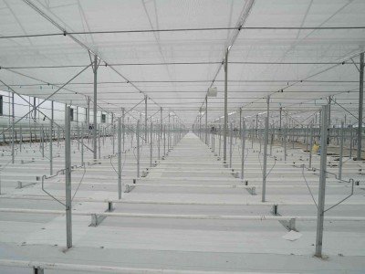 iska-greenhouse-12