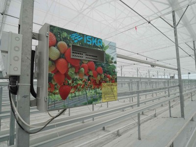 iska-greenhouse-11