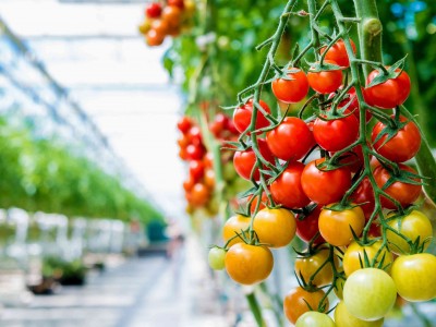 iska-sera-sistemleri-2