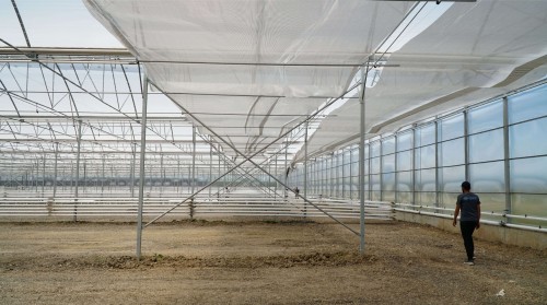 Turnkey Industrial Greenhouse Projects: Process, Cost, and Planning