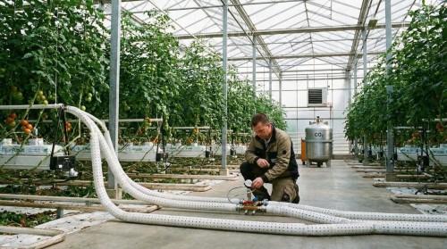 CO₂ Sistemi Kullanarak Bitki Gelişimini Artırma Yöntemleri