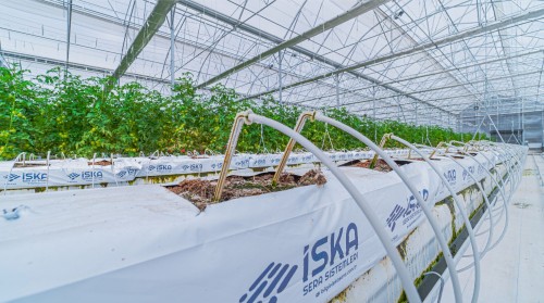 Drip Irrigation Systems: A Guide to Water and Fertilizer Saving