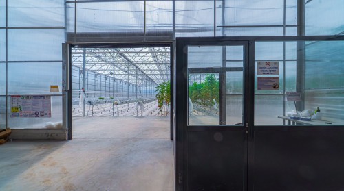Technical Criteria to Consider in Industrial Greenhouse Installation