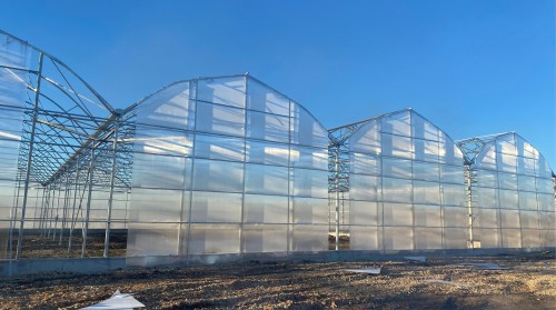 What is a Hydroponic NFT System and How Does It Work? The Fundamentals of Nutrient Film Technique