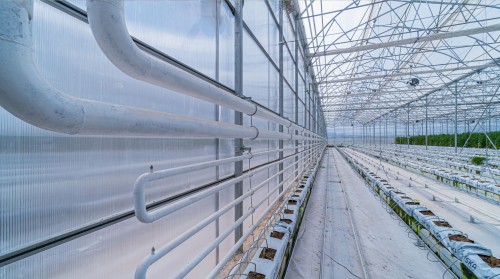 The Advantage of Year-Round Production with Climate-Controlled Industrial Greenhouses