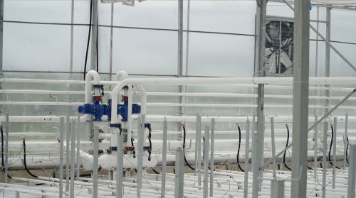 Sustainability and Energy Efficiency in Professional Greenhouse Farming