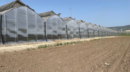 Greenhouse Installation Cost 2026 Analysis: Investment Budget for the Future of Agriculture
