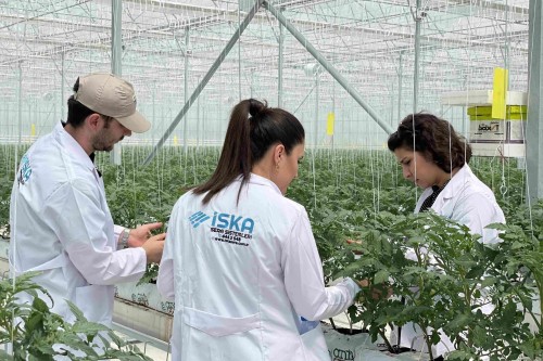 Sera OSB ve Yatırımlar (TDİOSB) İçin Bilgilendirme ve Destek