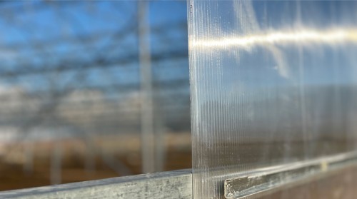 Things to Consider When Choosing Greenhouse Plastic: A Guide to Efficiency and Durability