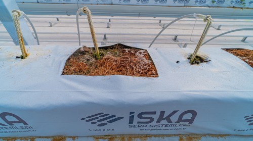 How to Calculate Payback Period (ROI) in Greenhouse Investments? A Step-by-Step Feasibility Guide