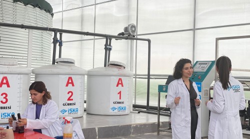 5 Effective Ways to Increase Yield in Hydroponic Farming