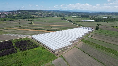 Most Suitable Regions for Greenhouse Investment in Turkey