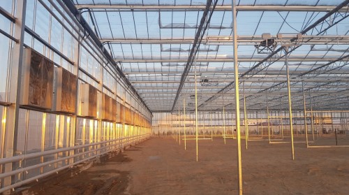 Venlo or Gothic? A Guide to Choosing the Right Structure for Greenhouse Investment
