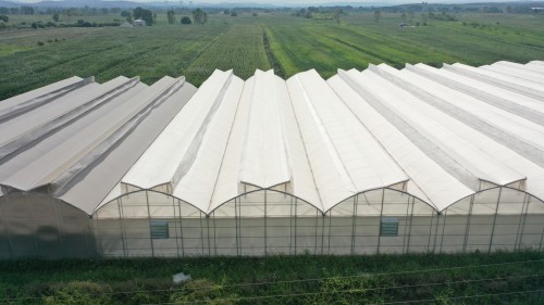 Grants and Support for Greenhouse Investments under the 2026 KKYDP Program