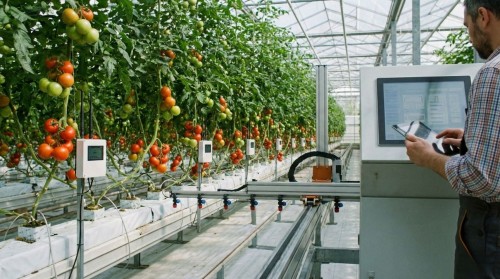 Smart Greenhouses: Sensor- and Automation-Assisted Farming