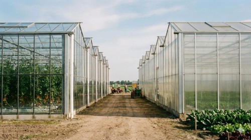 Glass or Polycarbonate Greenhouses: Which Are More Efficient?