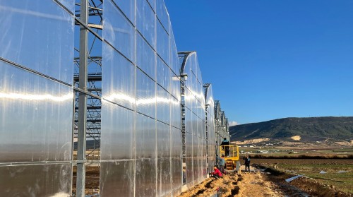 Endüstriyel Seracılık Yatırımlarında Doğru Sera Tipi Nasıl Seçilir?