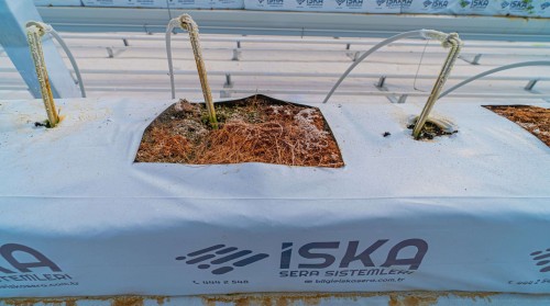 Greenpad (Evaporatif Soğutma) Sistemi Nedir?