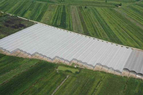 Modern Greenhouse Systems