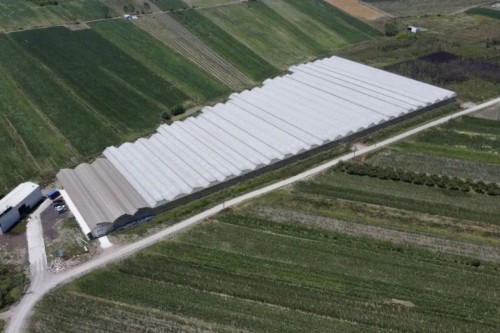25,000 m² Greenhouse Facility in Sakarya