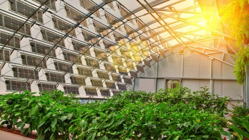Greenhouse Equipment: The Hidden Key to Productive Farming