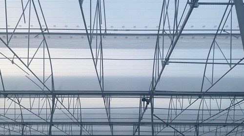 Sera Malzemelerinde Kalite Standartları