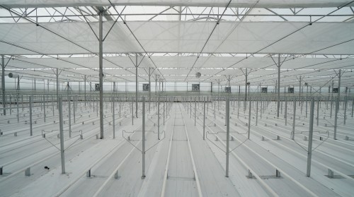 Sera Yer Örtüsü Kullanmanın Avantajları