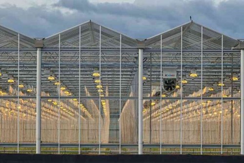 The Use of Glass Greenhouses in Turkey
